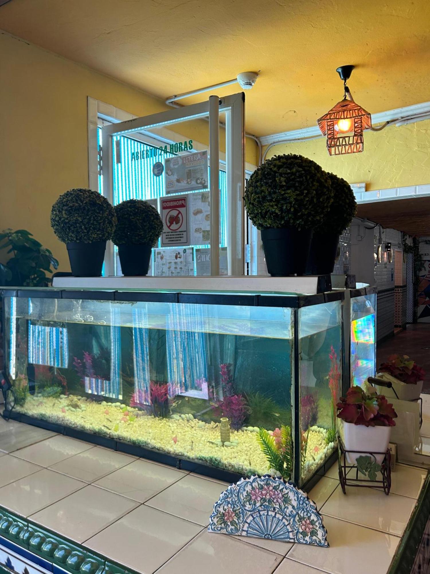 Hostal Avenida Andalucia - Solo Adultos Siviglia Esterno foto